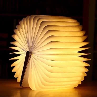 Book Desk Lamp - Adjustable LED Study & Office Lamp